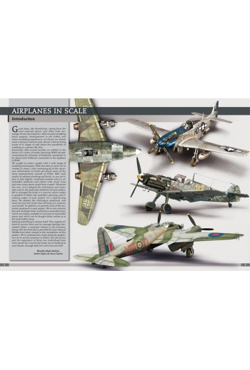 AIRPLANES IN SCALE LE GRAND GUIDE FRENCH VERSION #EURO0003 